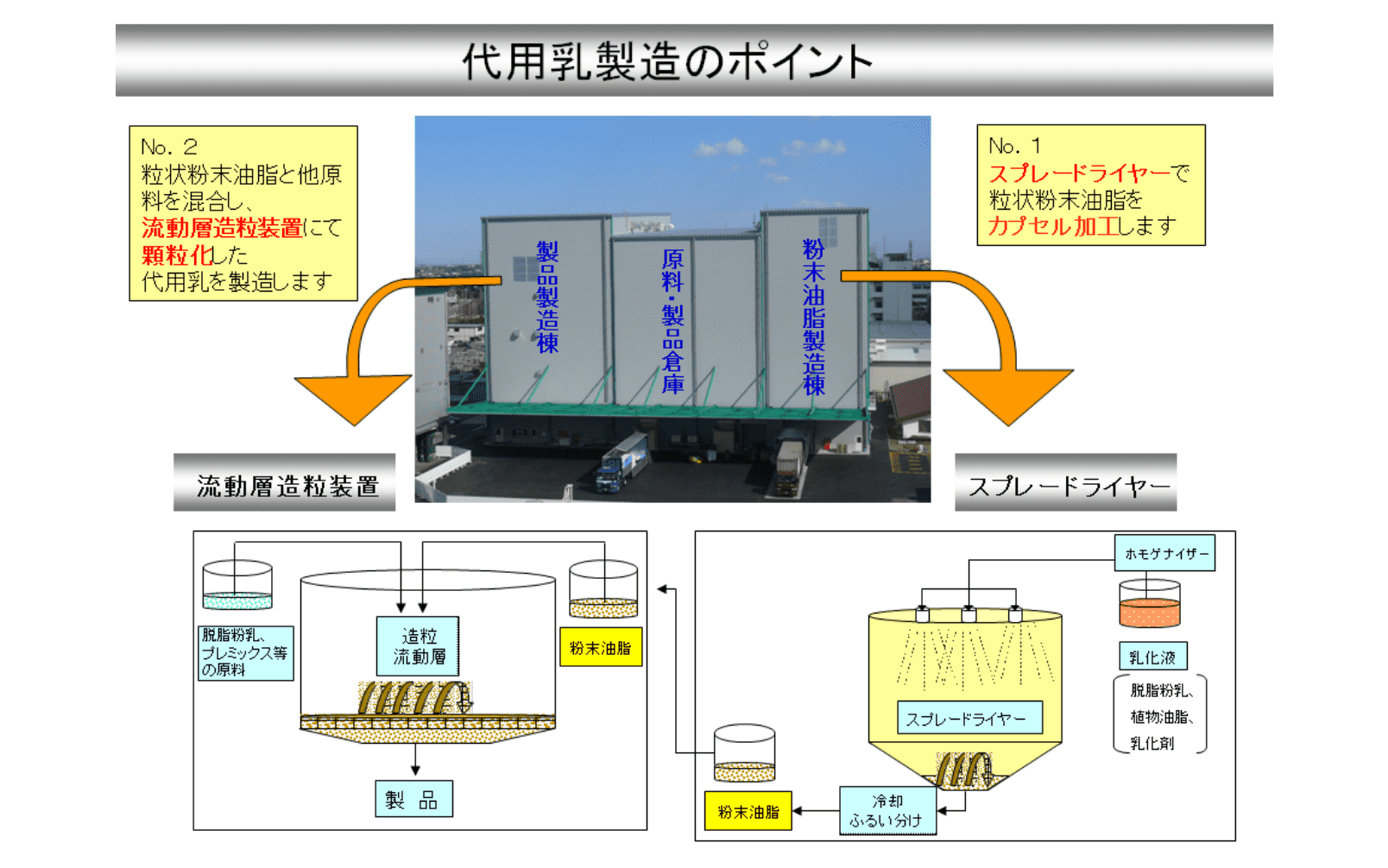 代用乳製造のポイント